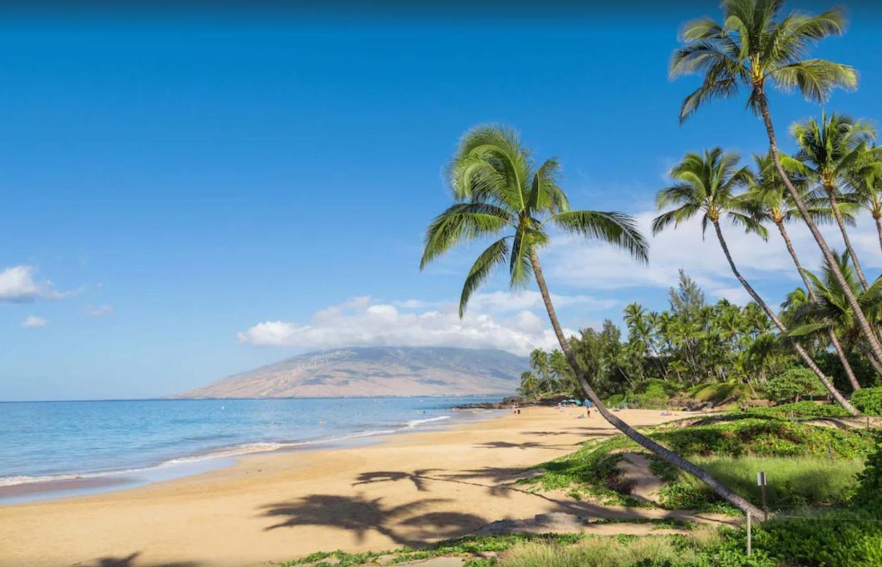 Tropical Maui Kamaole B-Bldg Daire Wailea  Dış mekan fotoğraf