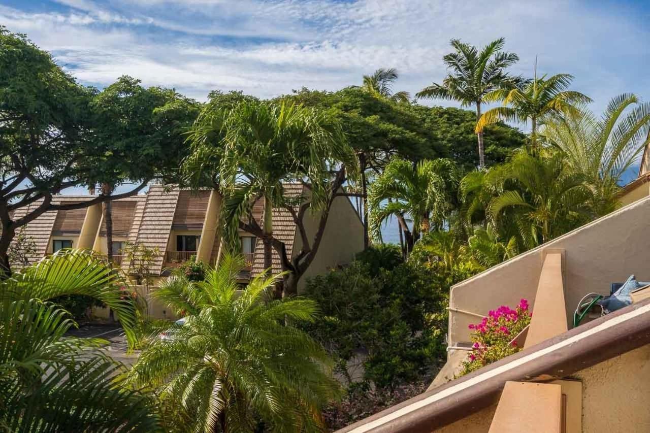 Tropical Maui Kamaole B-Bldg Daire Wailea  Dış mekan fotoğraf