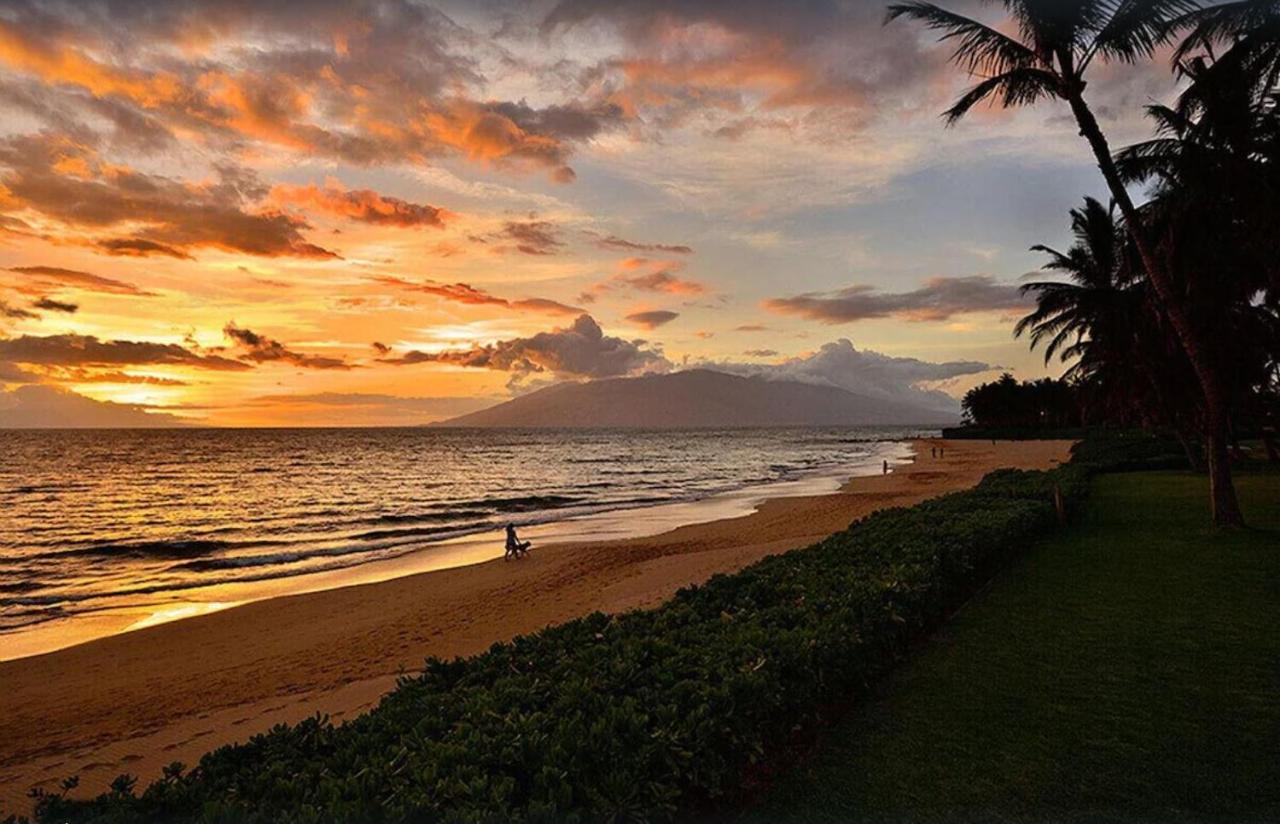 Tropical Maui Kamaole B-Bldg Daire Wailea  Dış mekan fotoğraf