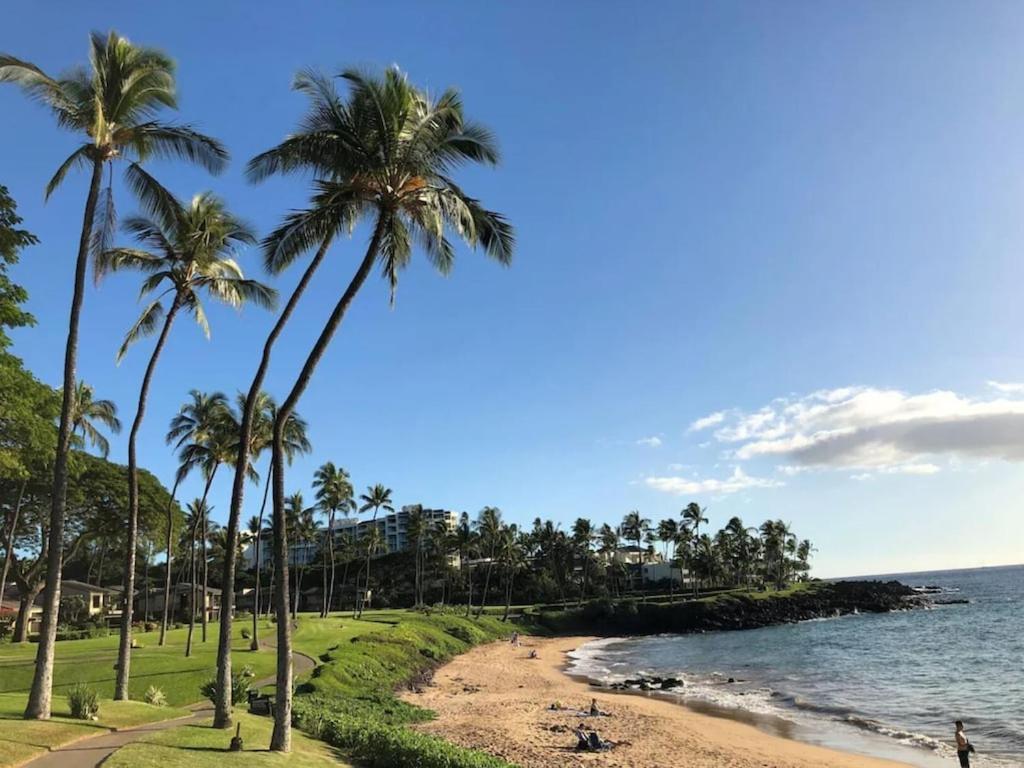 Tropical Maui Kamaole B-Bldg Daire Wailea  Dış mekan fotoğraf